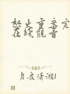 怒火重案完整版在线观看