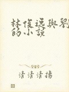 林俊逸与刘亦菲的小说