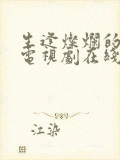 生逢灿烂的日子电视剧在线观看免费