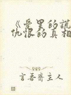 《爱里的谎言,仇恨的真相》