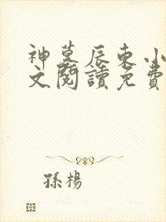 神墓辰东小说全文阅读免费