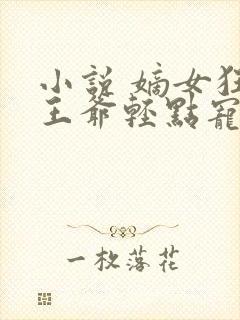 小说 嫡女狂妃王爷轻点宠封面