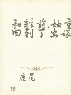 和离前,她重生回到了出嫁前封面