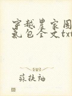 穿越农家团宠福气包全文txt下载