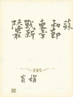 陆战东和苏灿的最新章节