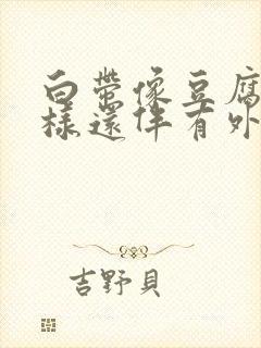 白带像豆腐渣一样还伴有外阴疼