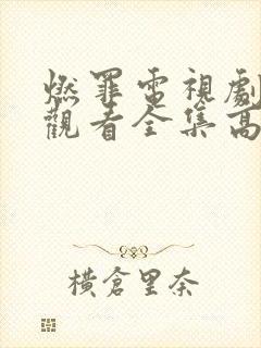 燃罪电视剧免费观看全集高清