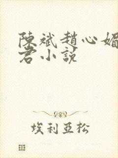 陈斌赵心媚高婉君小说