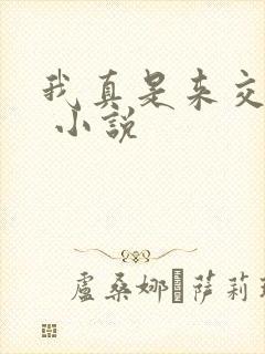 我真是来交换的 小说封面