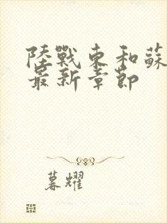 陆战东和苏灿的最新章节