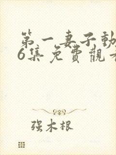 第一妻子动漫第6集免费观看全集