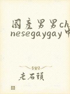 国产男男chinesegaygay中国帅哥网站