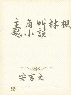 主角叫林枫的穿越小说