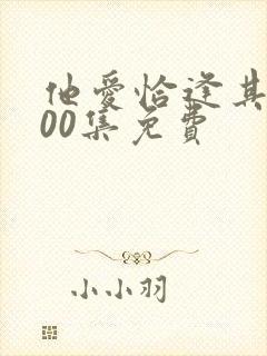 他爱恰逢其时100集免费