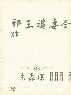 邪王追妻全本txt