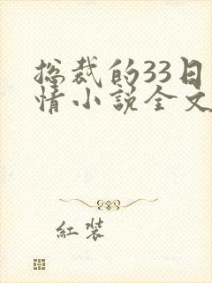 总裁的33日索情小说全文免费封面