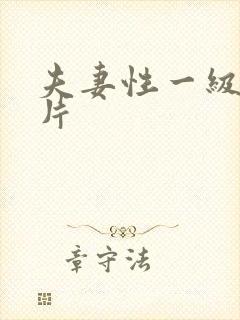 夫妻性一级黄色片封面