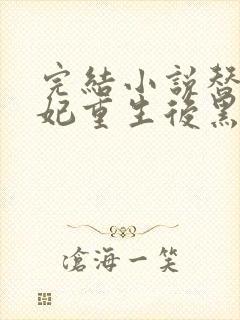 完结小说替身王妃重生后黑化了封面