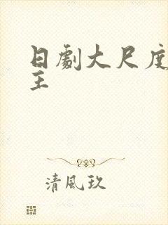 日剧大尺度双男主