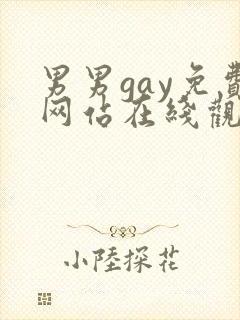 男男gay免费网站在线观看封面