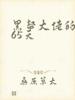 黑帮大佬的 365天