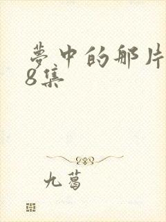 梦中的那片海38集