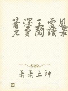 萧泽王雪凤小说免费阅读最新章节