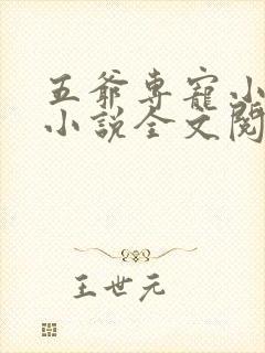五爷专宠小娇妻小说全文阅读封面