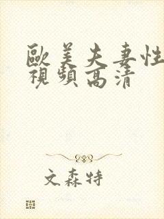 欧美夫妻性生活视频高清