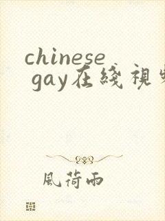 chinese gay在线视频