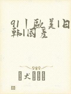 91丨欧美|日韩|国产封面