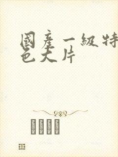 国产一级特黄黄色大片