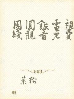 团圆饭电视剧在线观看免费策驰影院