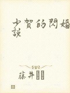 少贺的闪婚暖小说