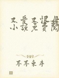 又爱又恨母女花小说免费阅读