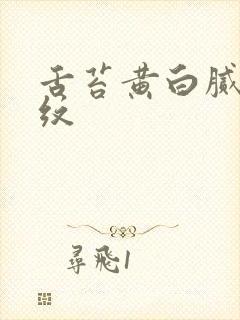 舌苔黄白腻有裂纹