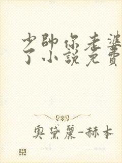 少帅你老婆又跑了小说免费阅读封面