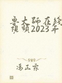 鲁大师在线播放视频2023年