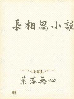 长相思小说原著