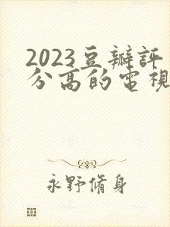 2023豆瓣评分高的电视剧