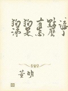 狗狗有点流清鼻涕是怎么了