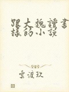 跟大魏读书人一样的小说封面