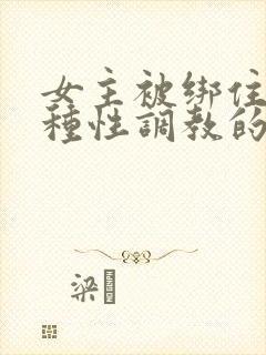 女主被绑住被各种性调教的小说封面