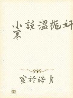 小说温栀妍沈霁寒