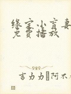 缘定小盲妻短剧免费播放