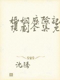 婚姻历险记 电视剧全集免费观看封面