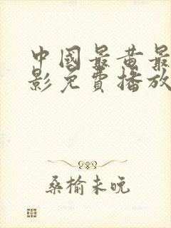 中国最黄最色电影免费播放封面