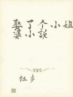 娶了个小姐做老婆小说