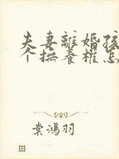 夫妻离婚孩子两个抚养权怎么判定