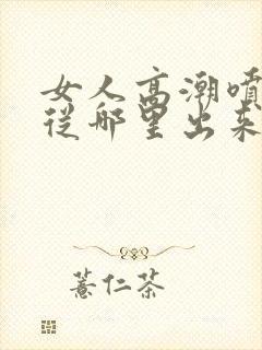 女人高潮喷水是从哪里出来的